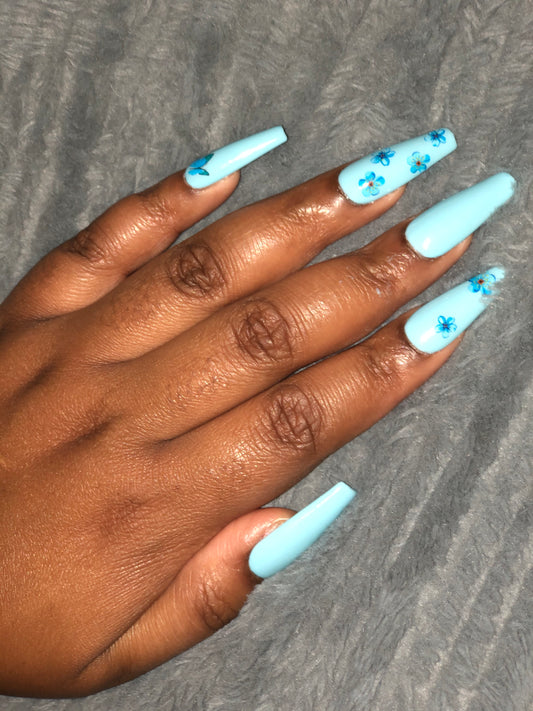 Forget Me Not